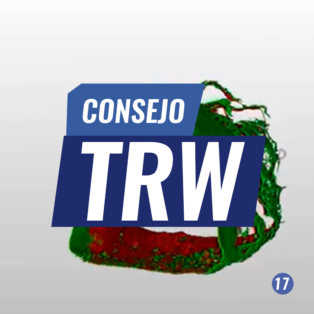 Consejo TRW N° 17 |  INSPECCIÓN ESPESOR SHOTCRETE