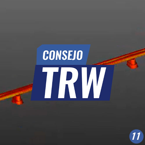 CONSEJO TRW N°11 | INSPECCIÓN CON MODELOS BIM