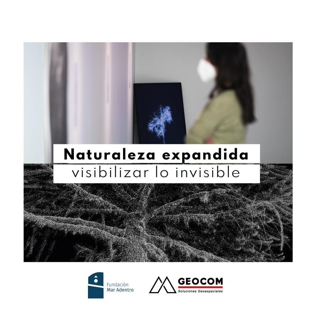 Naturaleza expandida: visibilizar lo invisible
