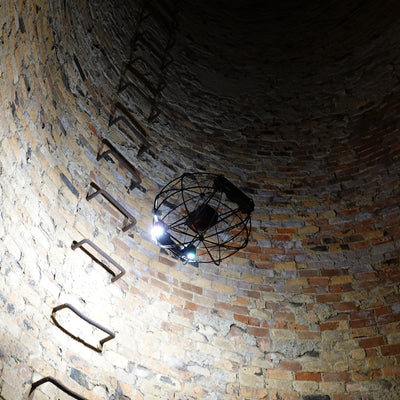 Flybotix ASIO X