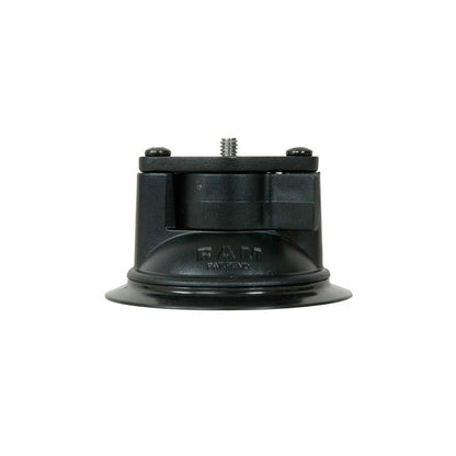 Suction cup
